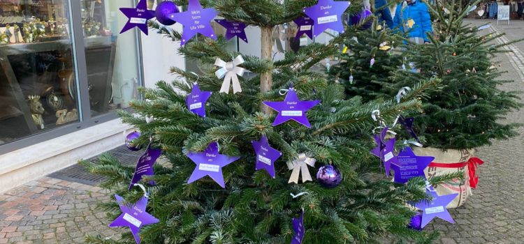 1000 Sterne für Lila Villa – Spendenaktion des Frauenhausvereins Lila Villa e.V.